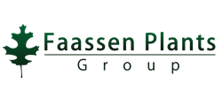 Faassen Plants